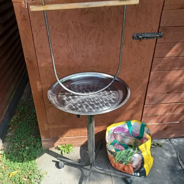 Parrot stand