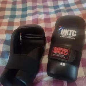 Taekwondo Sparring Gear - Image 4