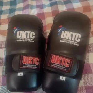 Taekwondo Sparring Gear - Image 5