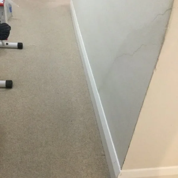 Beige 80% Wool Carpet – Excellent Condition