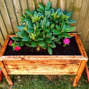 Handcrafted Rustic Wooden Planter with Burnt Wood Finish - Image 2