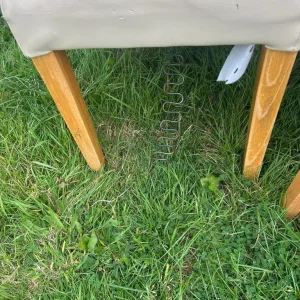 Dining chairs - Image 2