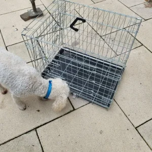 Pet Crate - Image 3
