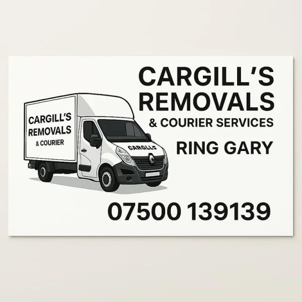 2 Men with a van for courier needs