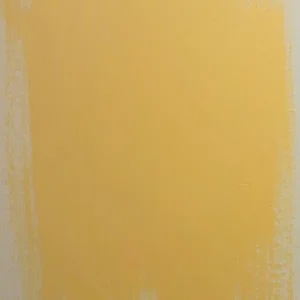Valspar Premium 6L Sunlit Dulux - Image 3