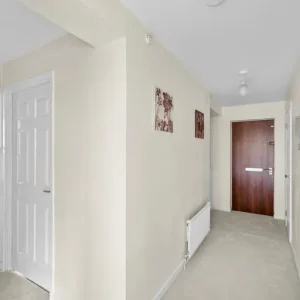 Light Grey Carpet with Underlay - Image 2