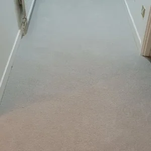 Light Grey Carpet with Underlay - Image 3