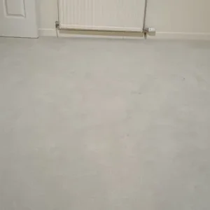 Light Grey Carpet with Underlay - Image 4