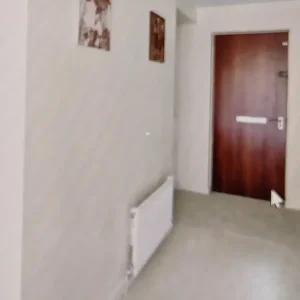 Light Grey Carpet with Underlay - Image 5