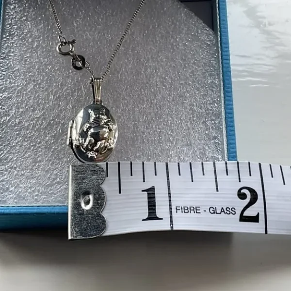 Silver 925 Winnie Pooh locket and chain