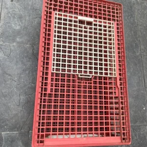 Poultry cage crate - Image 2