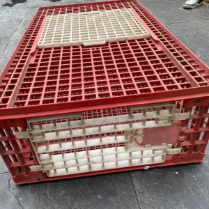 Poultry cage crate - Image 3