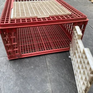 Poultry cage crate - Image 5