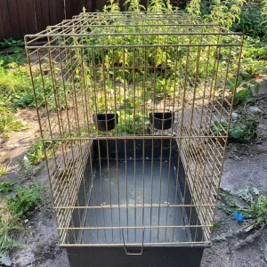 Bird cage - Image 2