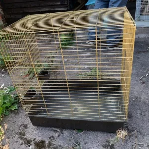 Bird cage - Image 3