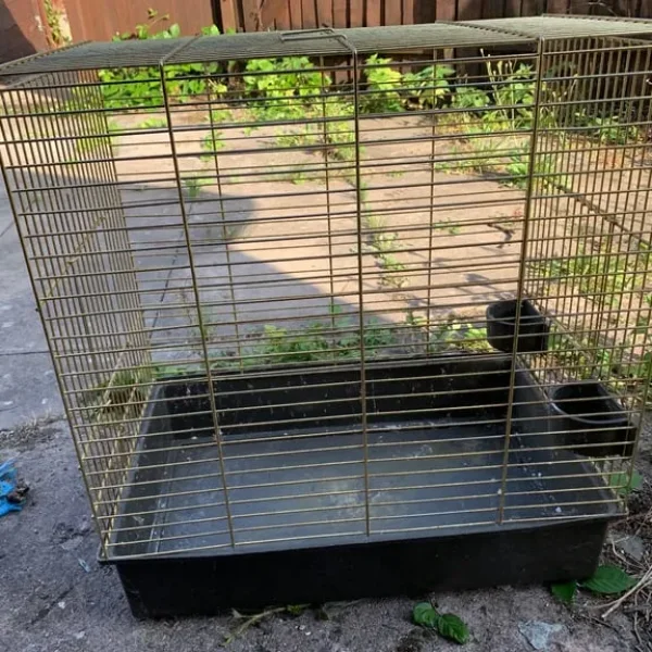 Bird cage