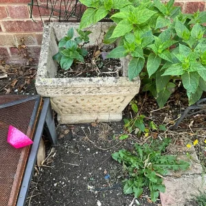 Stone ornaments and cast iron cauldron - Image 3