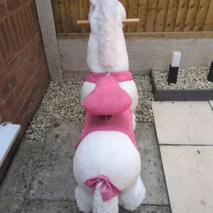 Ride on unicorn - Image 3