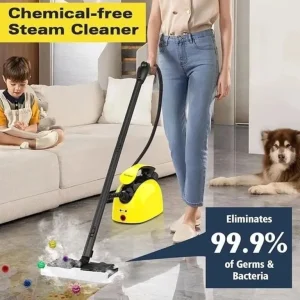 Waitbird Steam Cleaner with Steam Gun and Accessories - Image 2