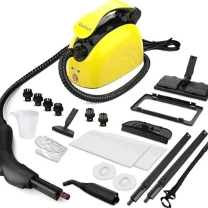 Waitbird Steam Cleaner with Steam Gun and Accessories