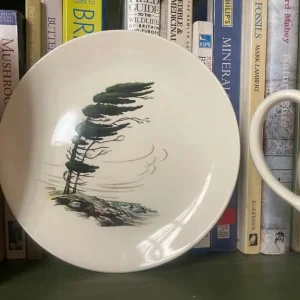 Myott England teapot and plate - Image 2