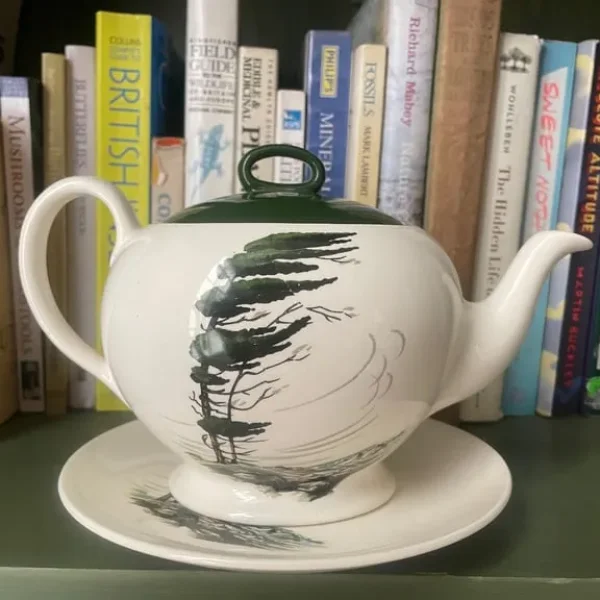 Myott England teapot and plate