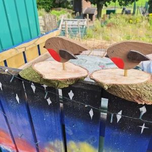 Hand crafted Robins