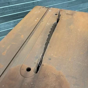 Wadkin 20BSW 20" Rip Saw - Image 8