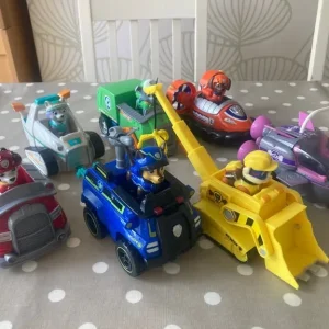 Paw Patrol Vehicles & Pups Set