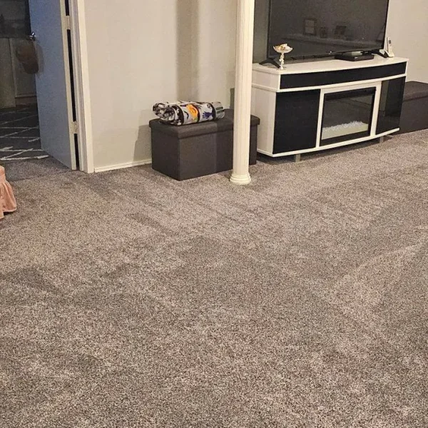 Carpets and Flooring