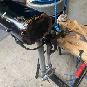 Seagul outboard motor - Image 2
