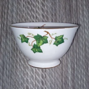 Colclough Ivy leaf bone china