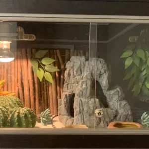 Reptile tank everything included - Image 2