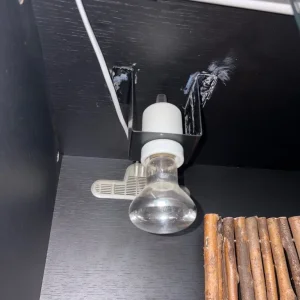 Reptile tank everything included - Image 4