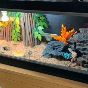 Reptile tank everything included