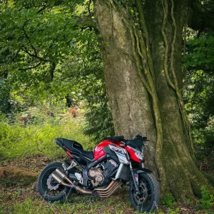2017 Honda CB650F facelift - Image 3