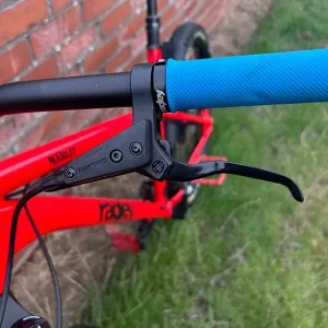 Ragley Marley - Image 5