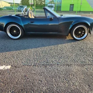 AC Cobra Tribute - Image 3