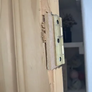 Pine Door - Image 2