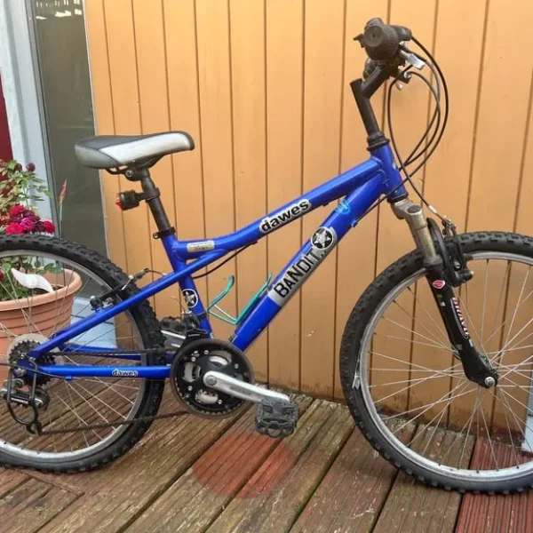 Junior or ladies bike