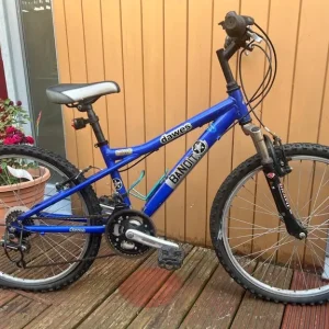 Junior or ladies bike