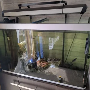 Fishtank and Unit