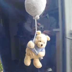 Baby on Board Teddy Bear