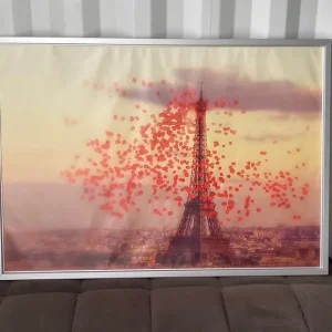 Framed IKEA BJORKSTA Picture