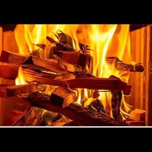 Tone sack logs 🪵 - Image 2