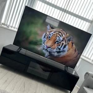 60” LG TV unit