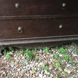Antique Oak Desk with Solid Drawers - Image 4
