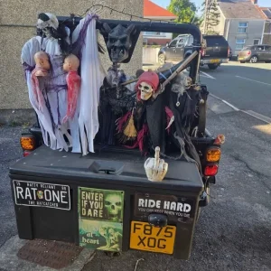 Reliant Rialto 3 wheeler trike - Image 2