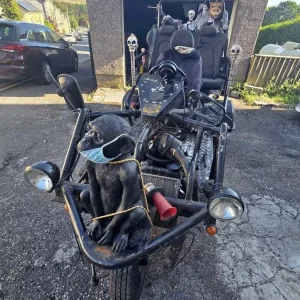 Reliant Rialto 3 wheeler trike - Image 5