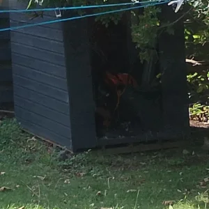 Wood Garden Shed Door
